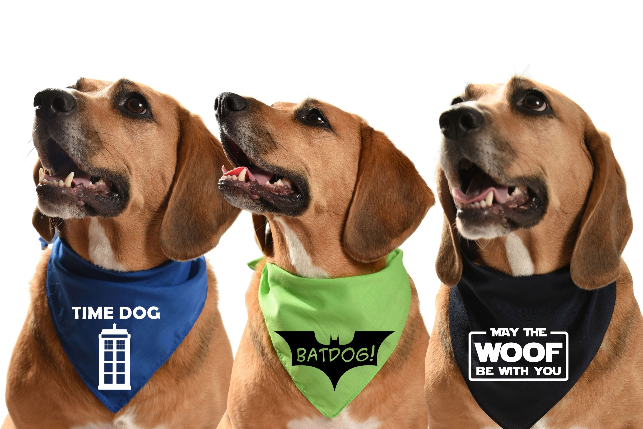 Film TV and Music Dog Bandanas The Prancing Dog