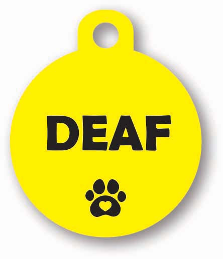 Round yellow dog cat collar harness lead tag for yellow dogs who need space hand made customised personalised uk deaf