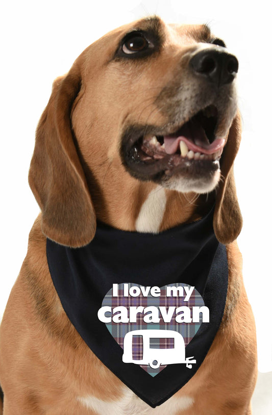 I love my caravan bandana with purple tartan design