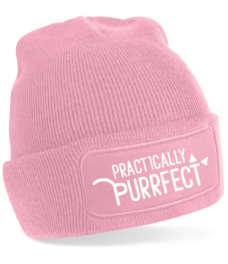 pink grey cat lover beanie hat gift birthday christmas winter wooly snowboarding kitty