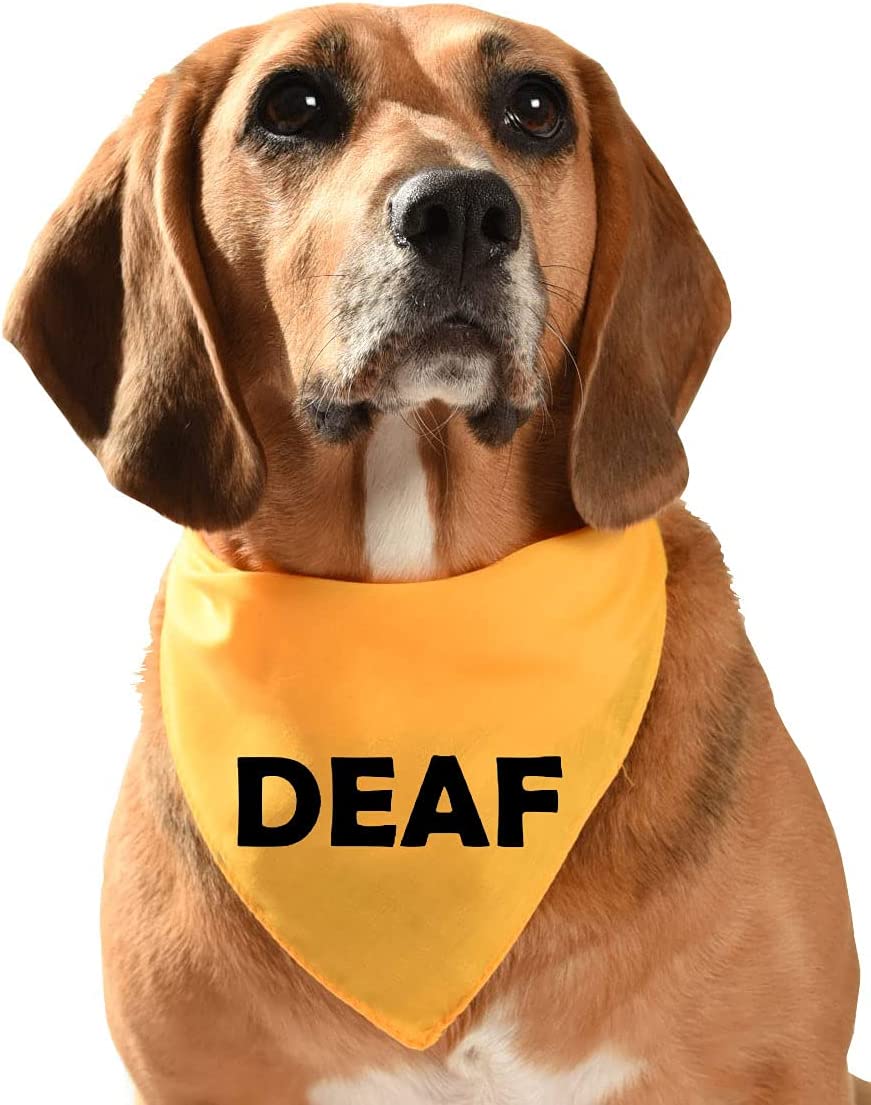 Deaf clearance dog gear