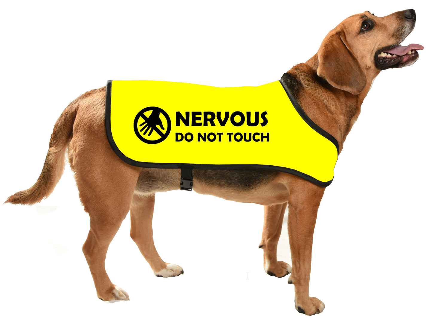 printed dog coat = communicoat i need space give me space yellow dog NERVOUS DOG