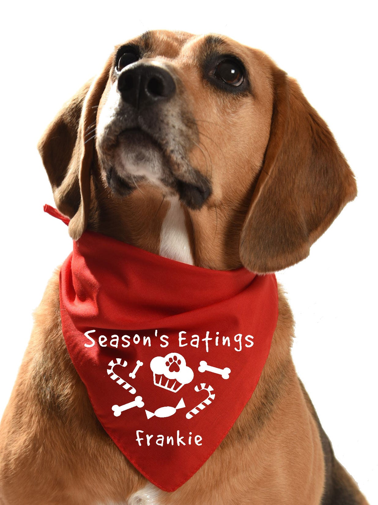 festive dog bandana christmas xmas season's eatings yummy food and goodies candy canes and cupcakes and sweets