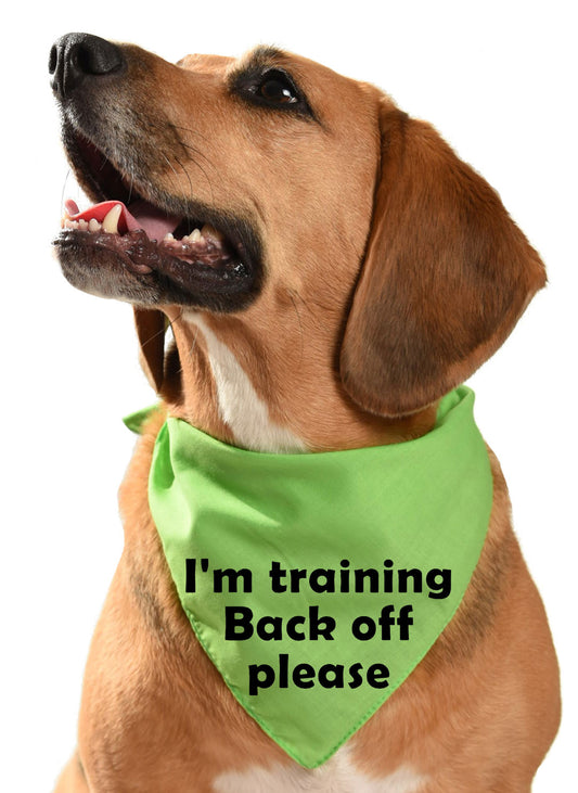 I'm training back off please dog bandana dog safety