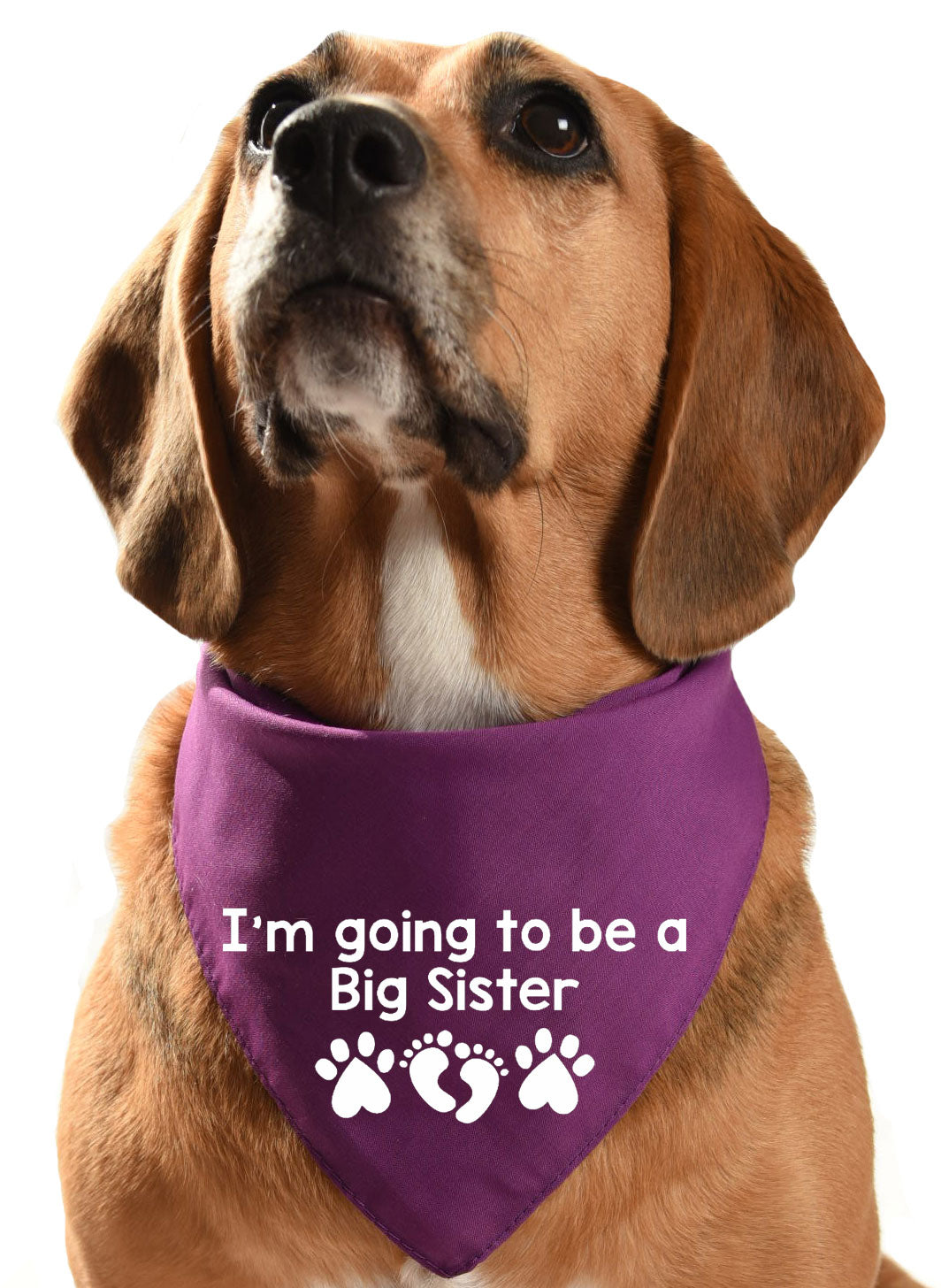 new baby announcement I'm going to be a big sister dog bandana