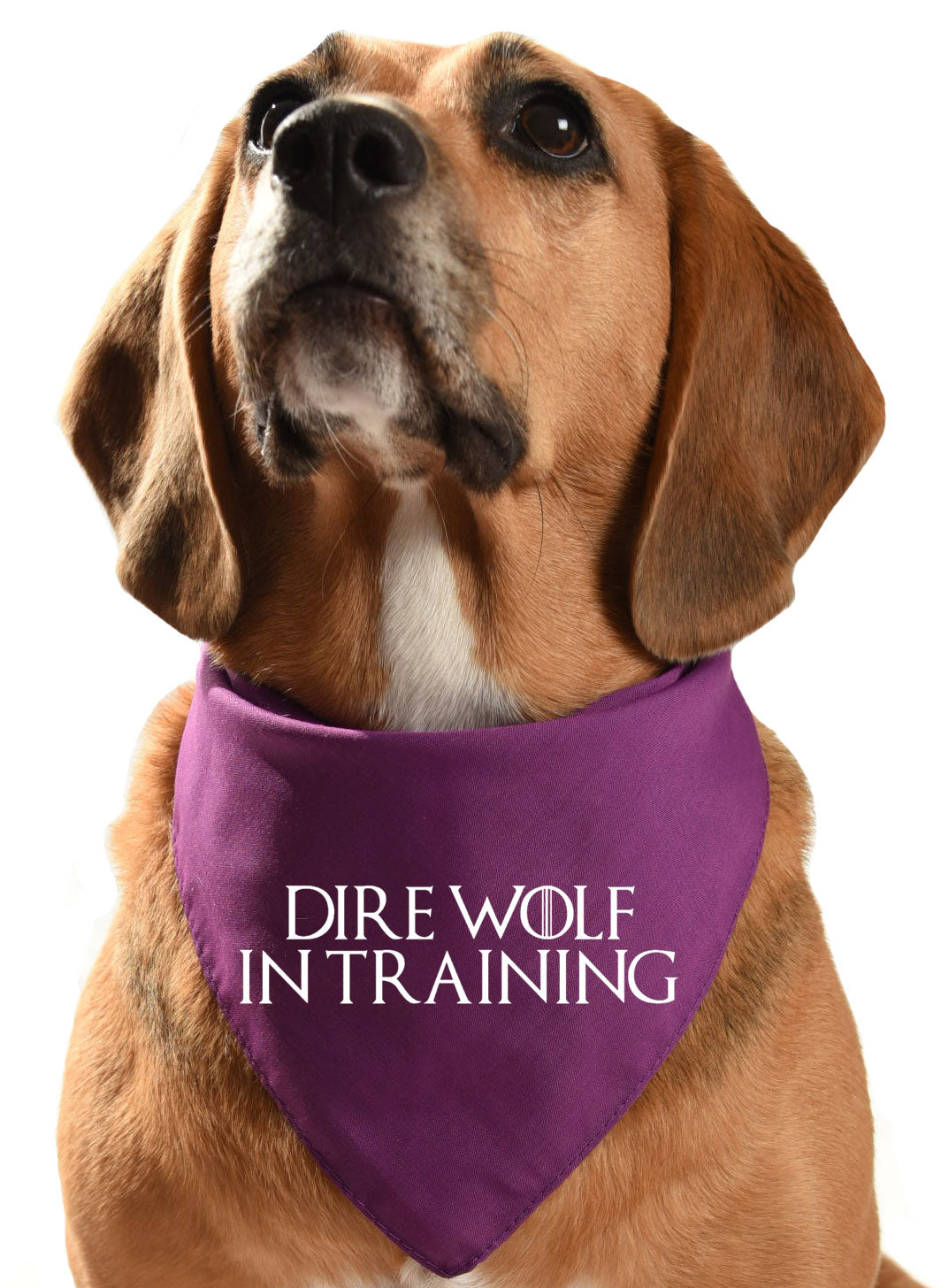 game of thrones, game of bones, direwolf in training dog bandana