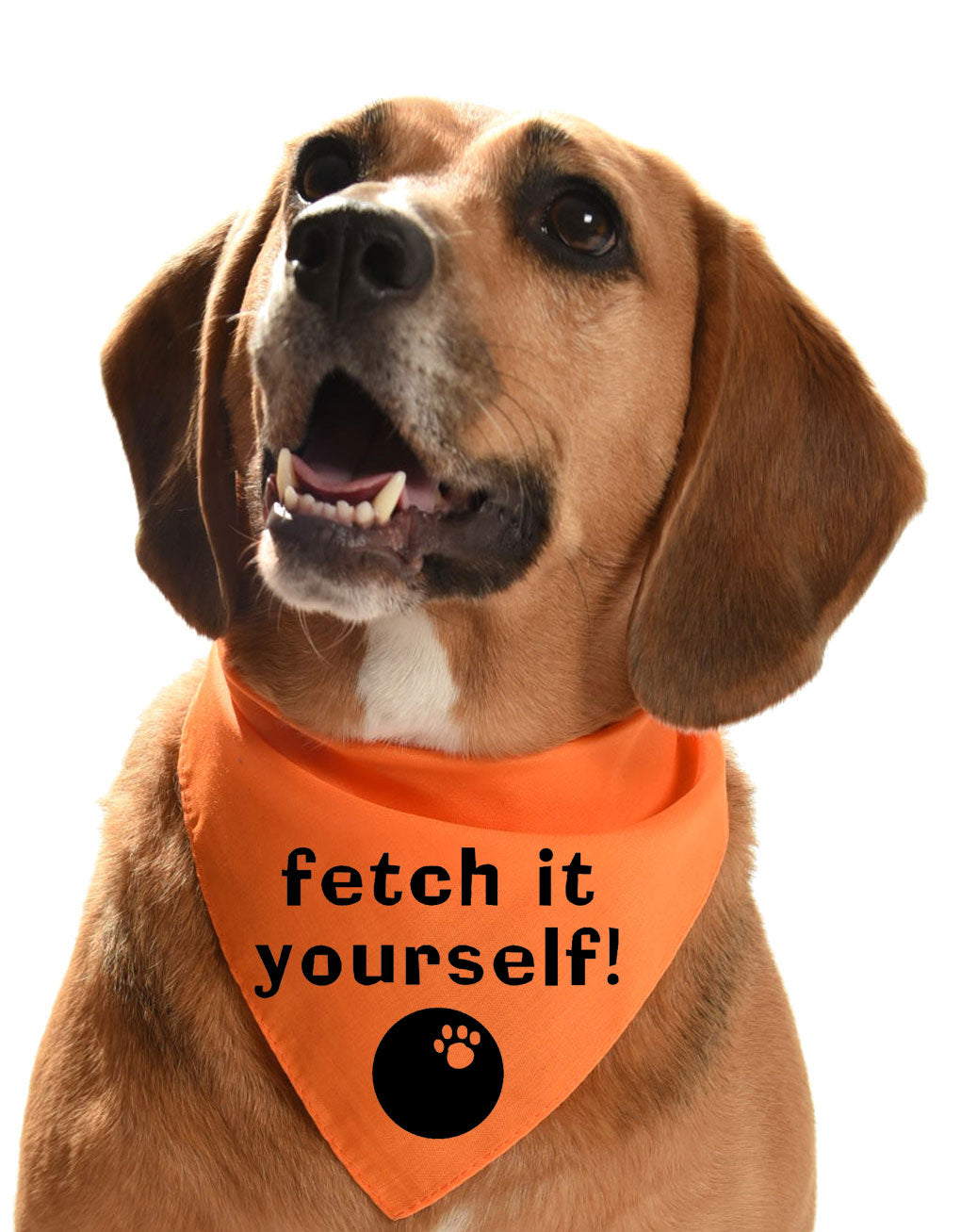 fetch it yourself dog bandana for couch loving dogs and pups
