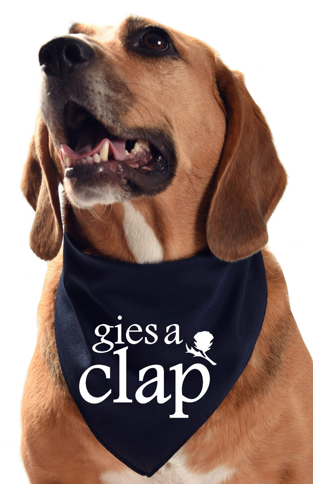 gies a clap scottish dog bandana scotland dug scarf pat me