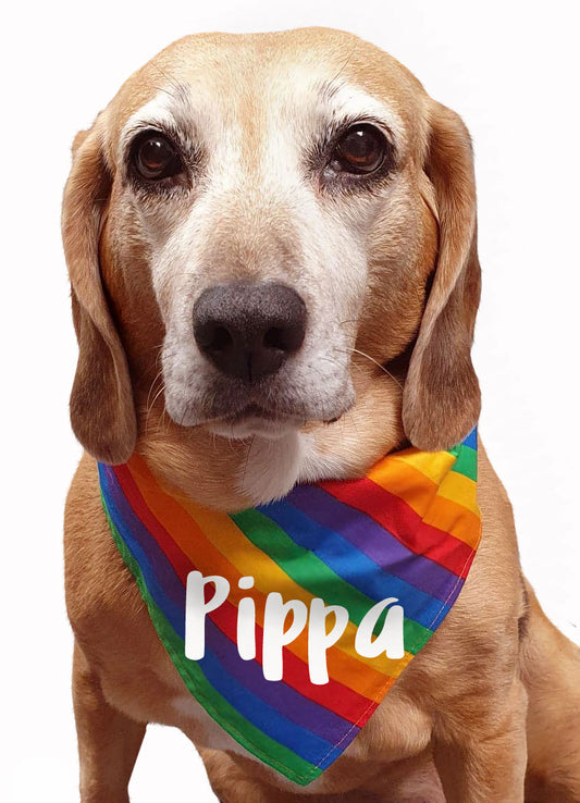 RAINBOW DOG BANDANA COTTON LGBTQIA+ PRIDE SUMMER HOLIDAYS PUPPY DOG WOOFER NECKER SCARF DOG BANDANA