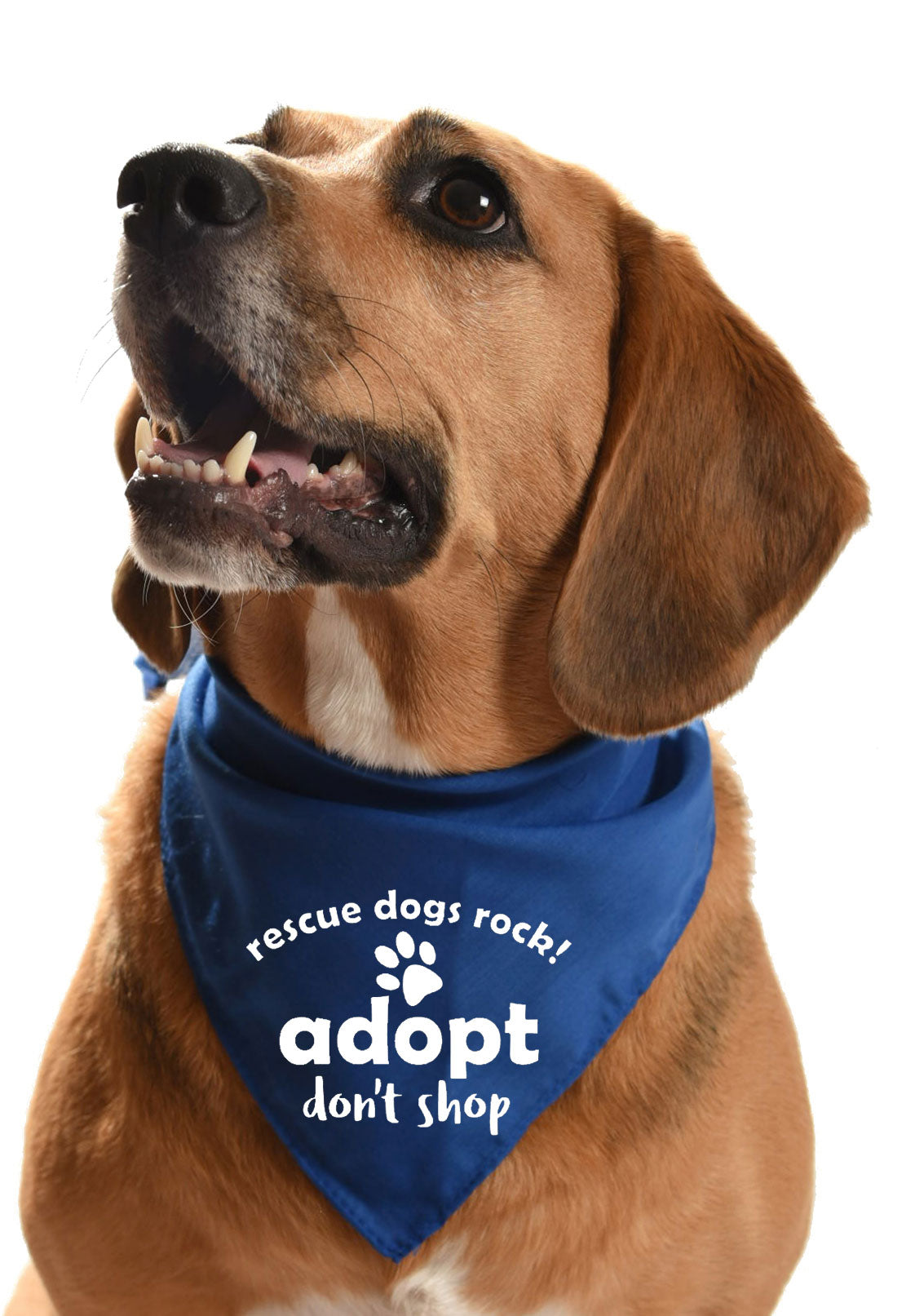 Rescue Dogs Rock! Dog Bandana