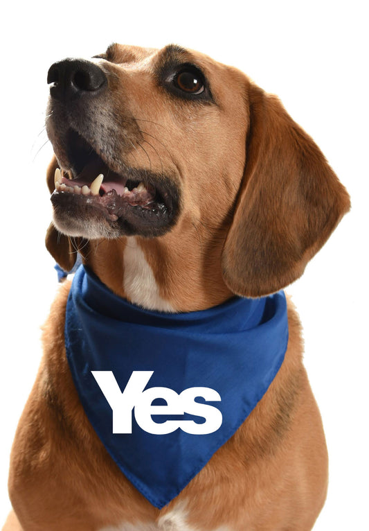 Yes scottish indendence dog scarf dog bandana neckerchief