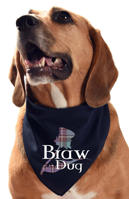 braw dug dog bandana purple tartan thistle with scottish braw dog dug puppy scarf