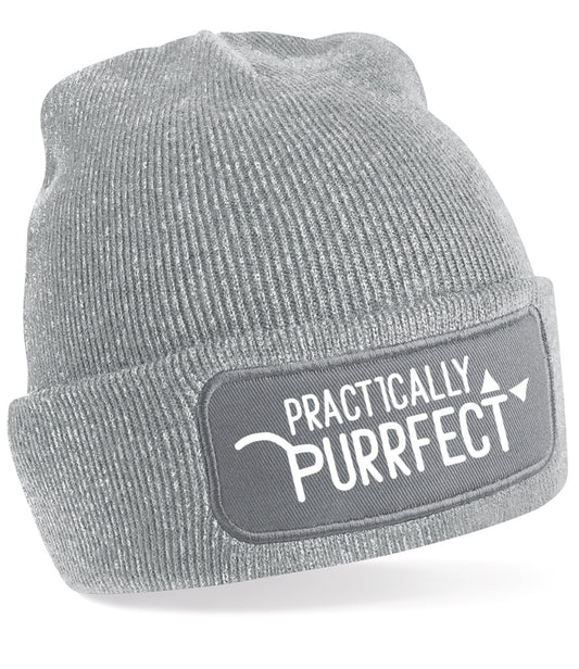 grey cat lover beanie hat gift birthday christmas winter wooly snowboarding kitty