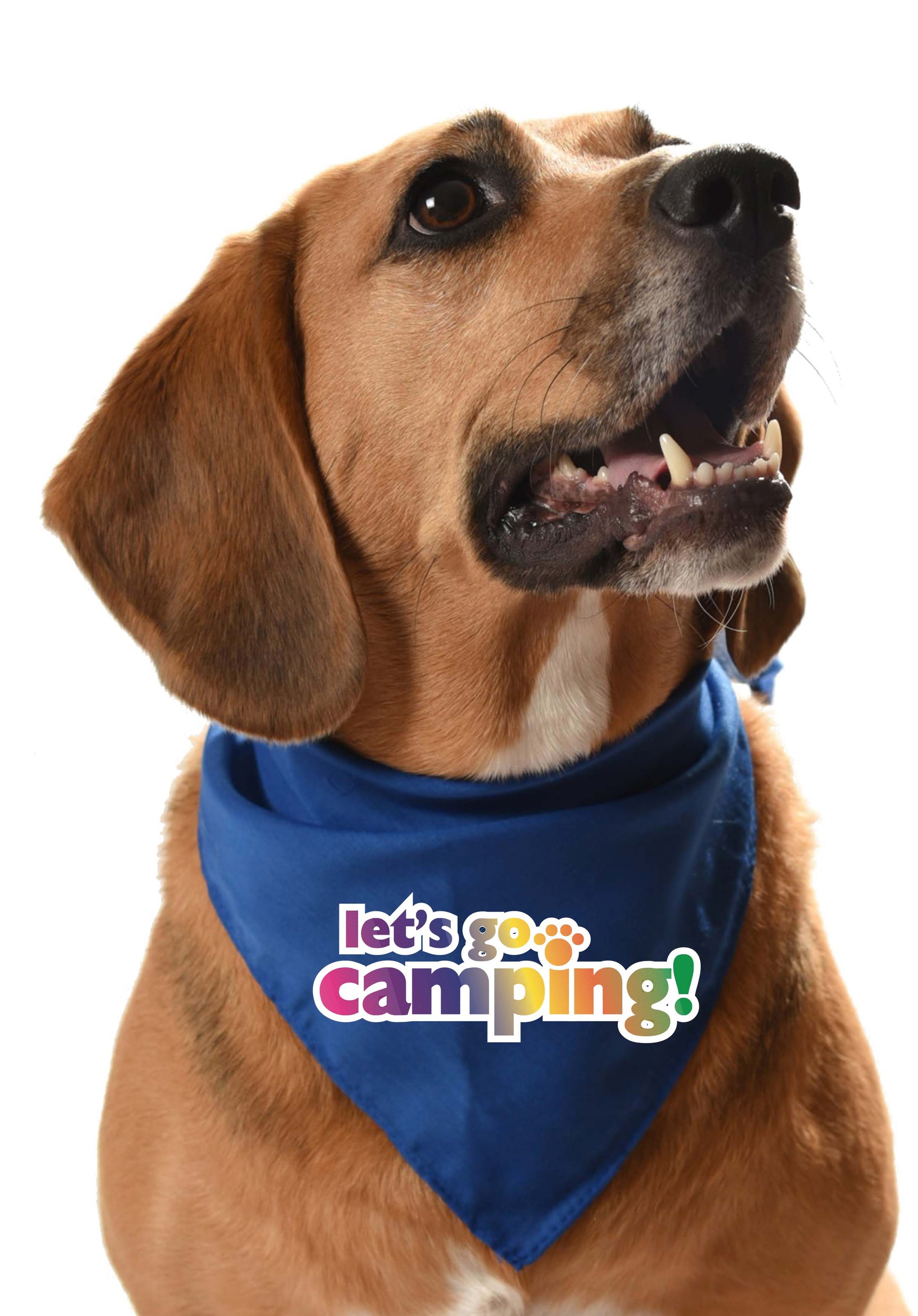 lets go camping dog bandana