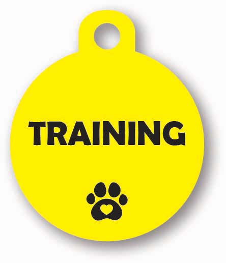 Round yellow dog cat collar harness lead tag for yellow dogs who need space hand made customised personalised uk training