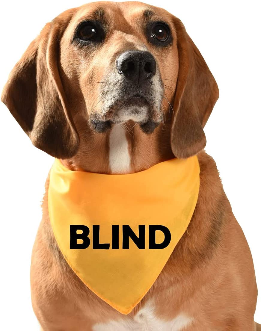 blind dog bandana