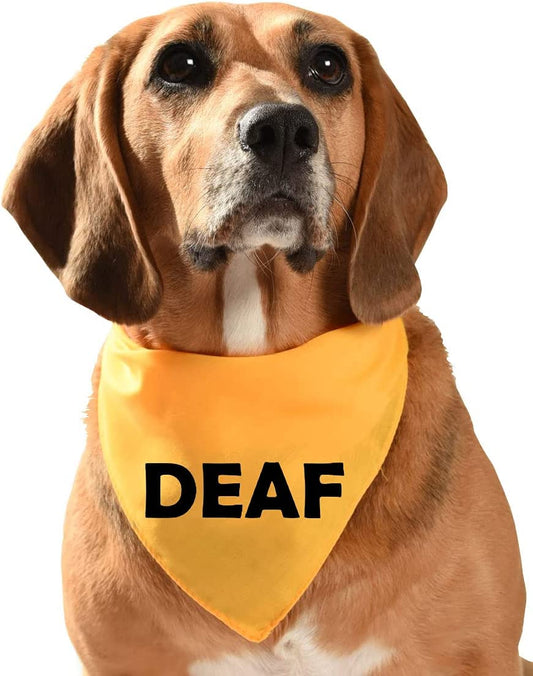 deaf dog bandana yellow dog