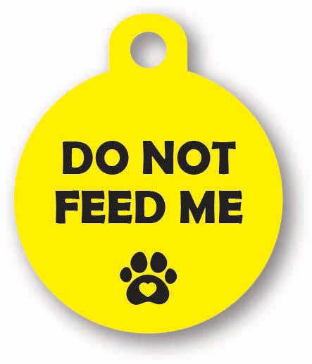 Round yellow dog cat collar harness lead tag for yellow dogs who need space hand made customised personalised uk do not feed me dietary requirements allergies weight loss 