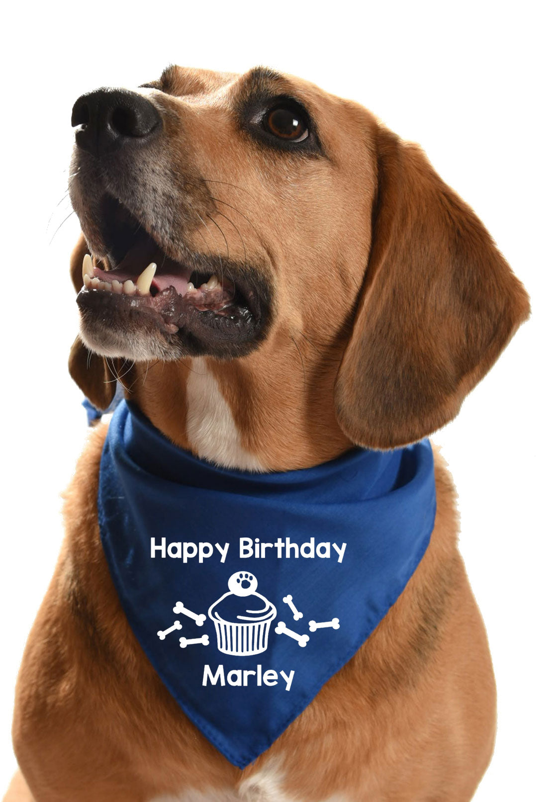 happy birthday personalised dog bandana with dogs name custom