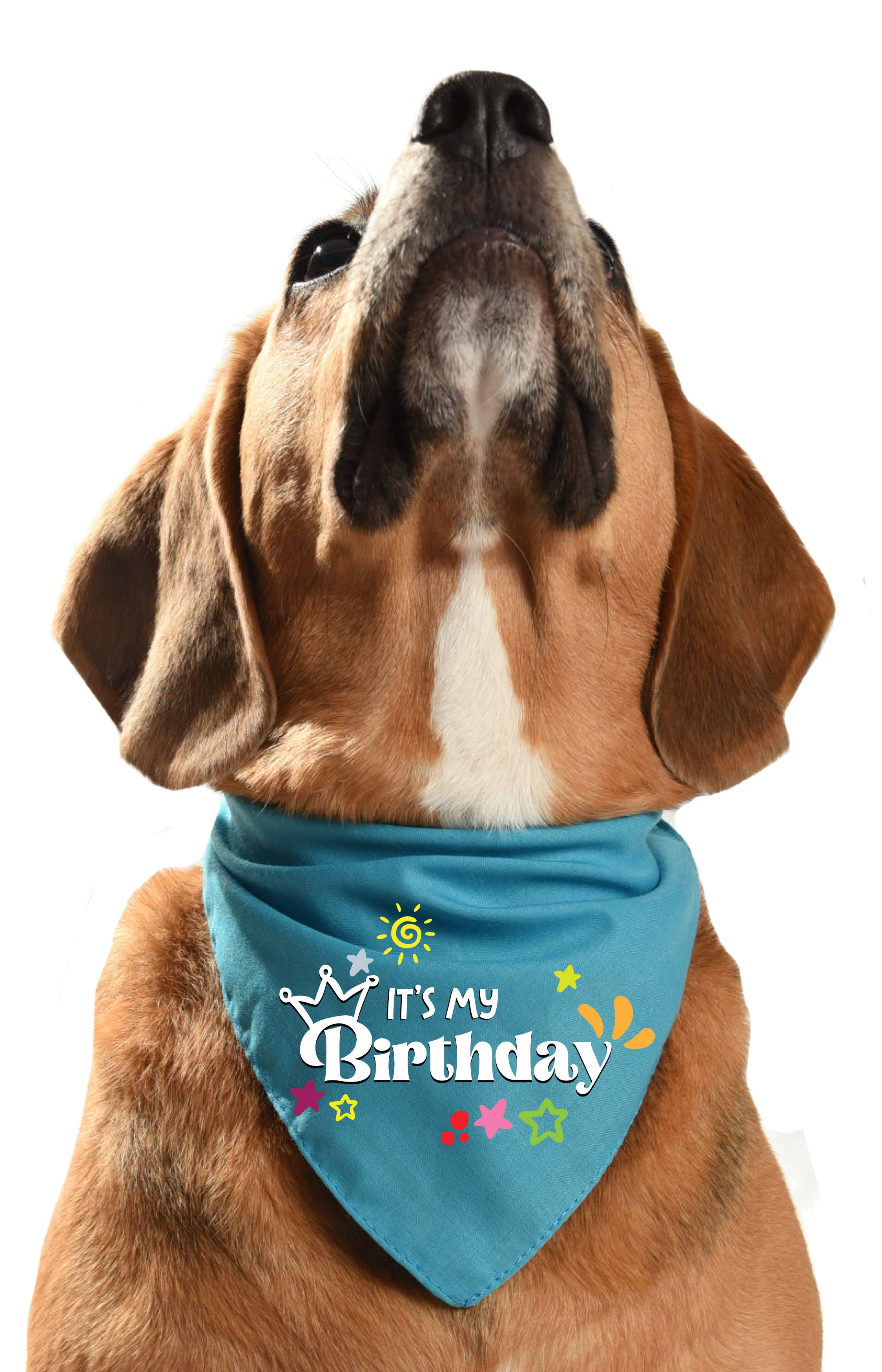 It s my birthday full colour print dog bandana