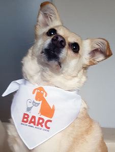 BARC Beacon Animal Rescue Centre fundraising bandana full colour print