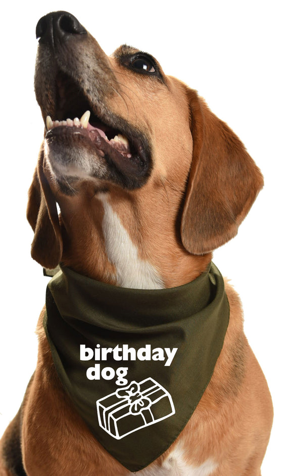 Birthday dog bandana for that special party pooch
