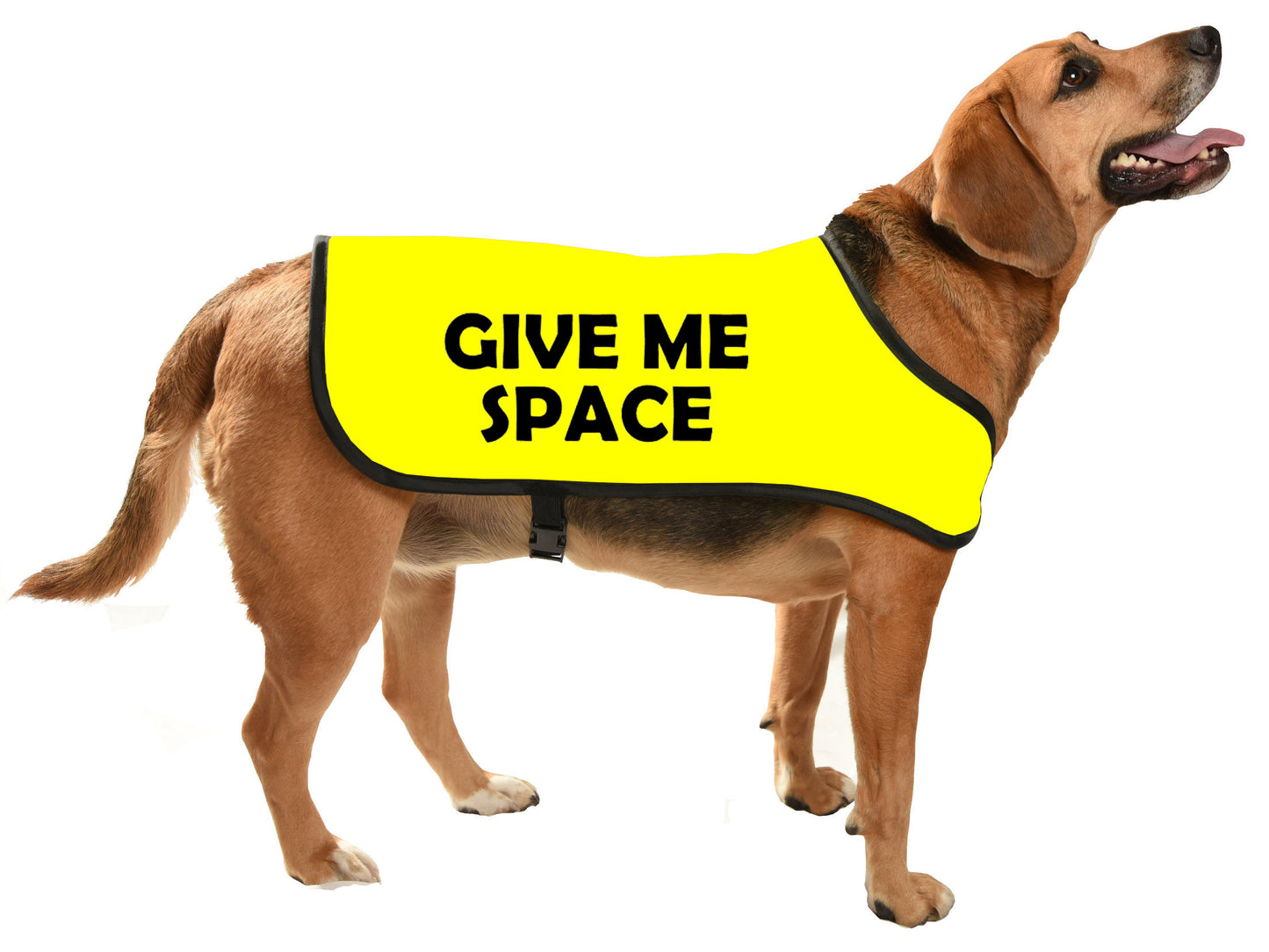 printed dog coat = communicoat i need space give me space yellow dog give me space