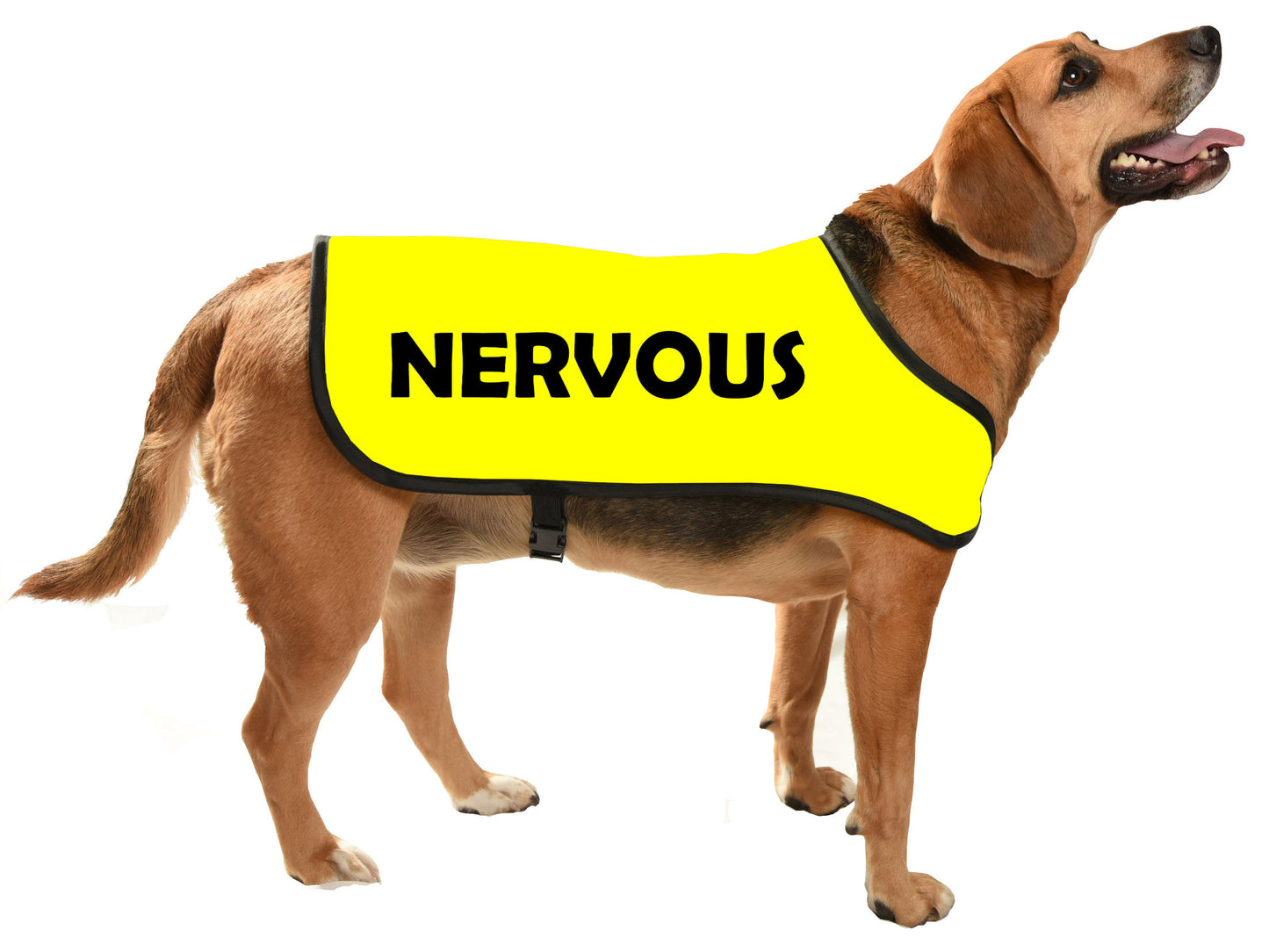 printed dog coat = communicoat i need space give me space yellow dog NERVOUS DOG