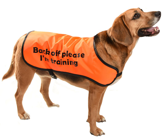 printed dog warning coat yellow dog i need space customised
