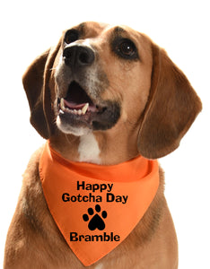 Happy gotcha day bandana for rescue dogs