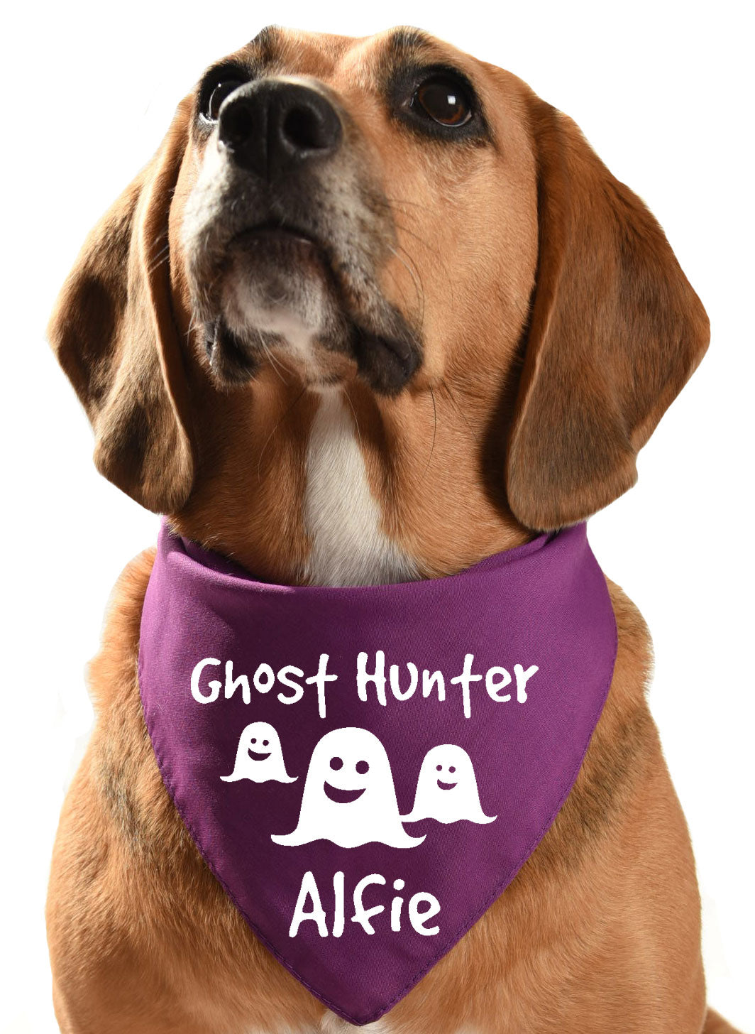 ghost hunter halloween howloween dog bandana scarf scary