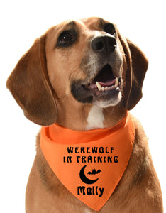 werewolf in training dog bandana scarf halloween howloween