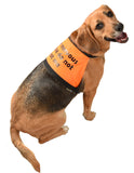 blind dog or deaf dog or dog in training or nervous dog clothing