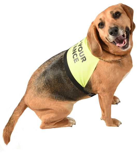 dog clothing with messages on for safety and training and space