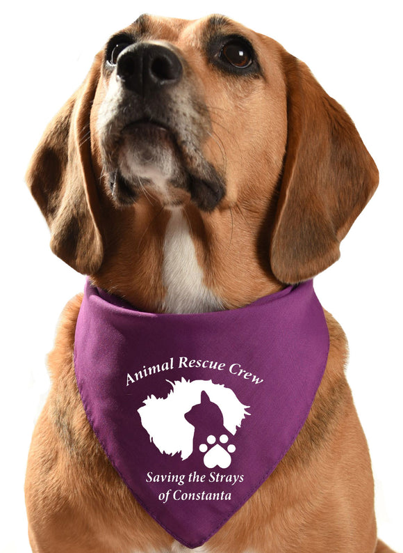 animal rescue crew dog bandana fundraising rehoming