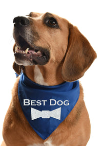 best dog silver glitter dog bandana for wedding day dog of honor