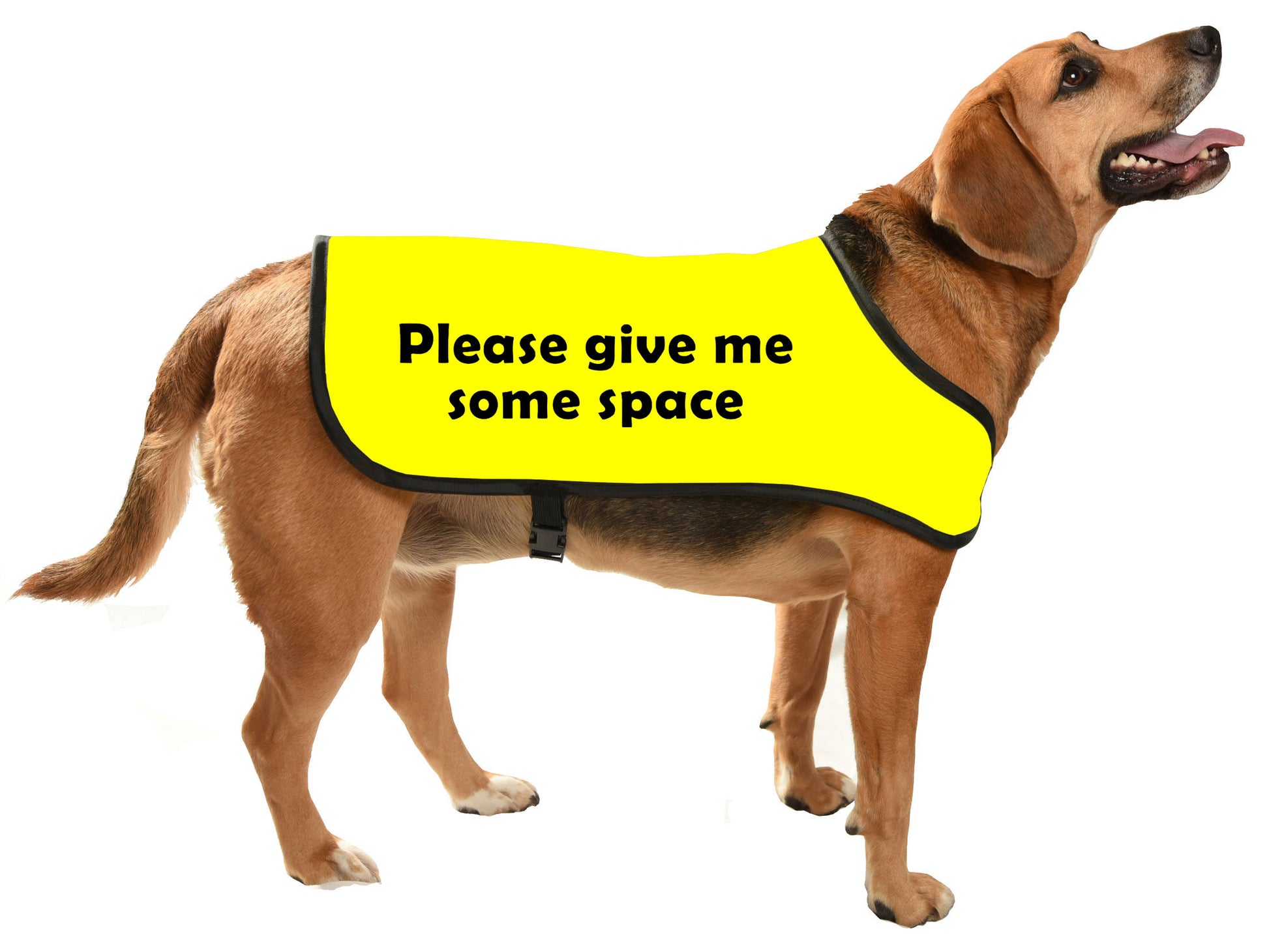 printed dog coat = communicoat i need space give me space yellow dog please give me some space
