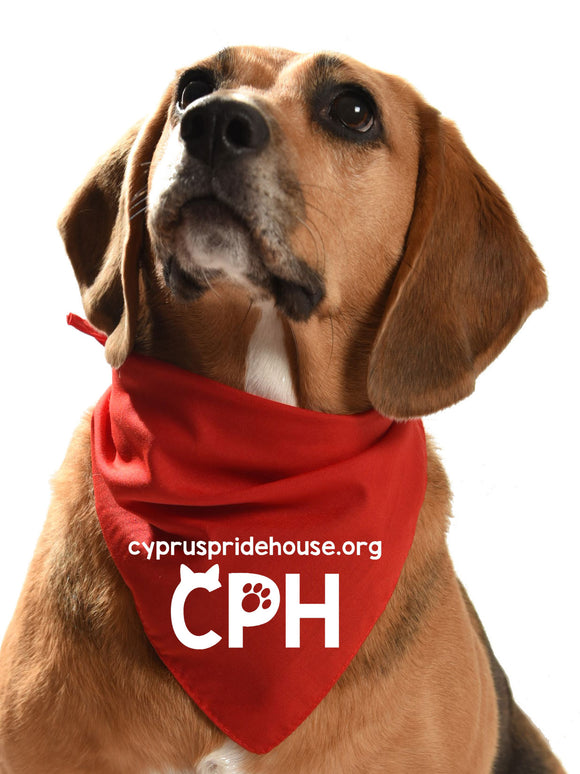 cyprus pride house dog bandana for fundraising