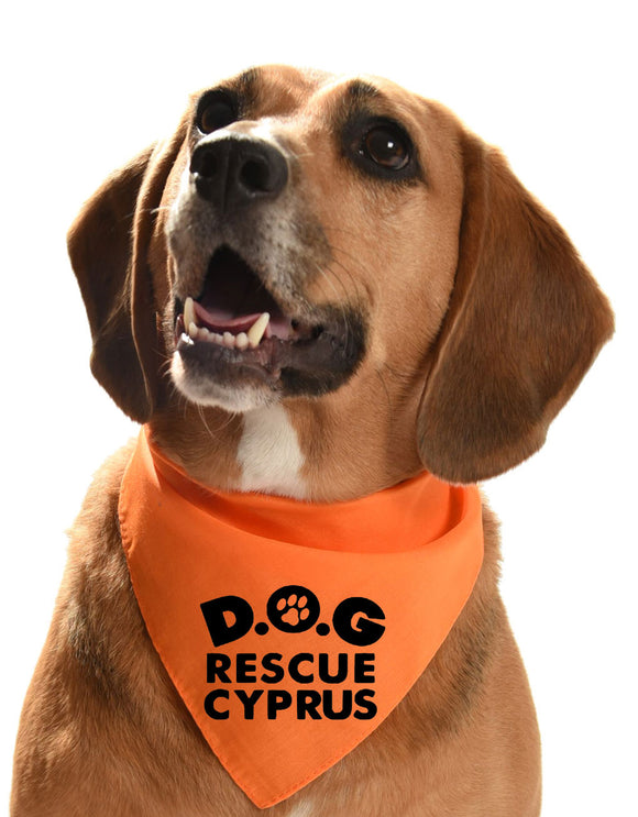 dali dog rescue cyprus bandanna bandana
