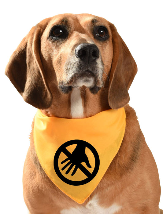 Do Not Touch yellow dog bandana for fearful, anxious and nervous dogs who may be reactive to humans