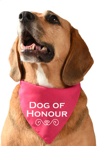 Dog of Honour dog bandana for wedding day
