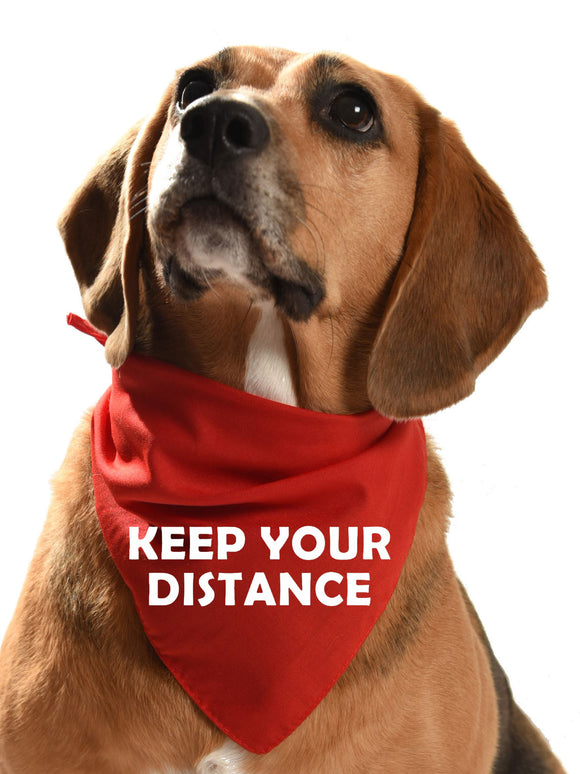 keep your distance dog bandana for fearful and reactive dogs