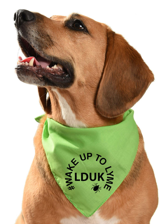 Lyme Disease UK fundraising dog bandana