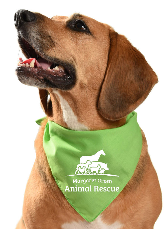 margaret green animal rescue dog fundraising bandana rehoming rescue