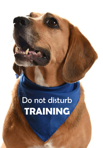 MULTIPACK OF 10 - Do not disturb TRAINING dog bandanas