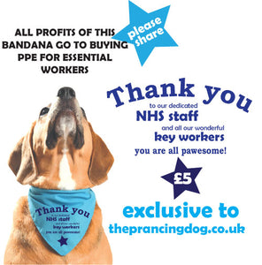 NHS and Key Worker Fundraising Dog Bandana - THANK YOU