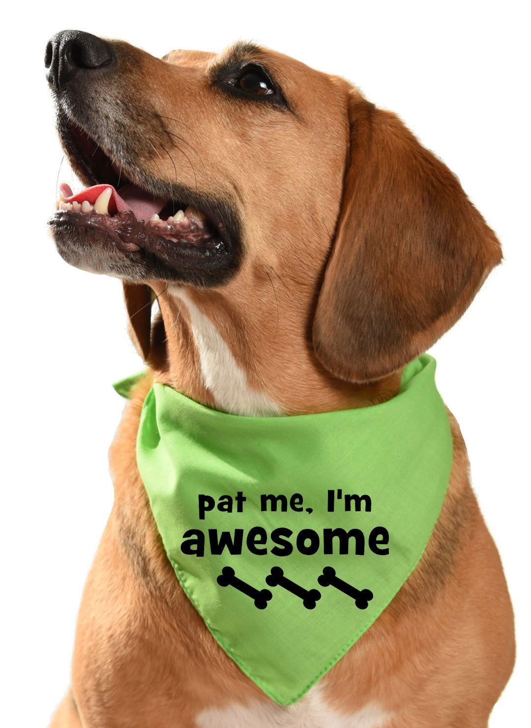 pat me i'm awesome dog bandana for friendly dogs and puppies who love attention and fuss