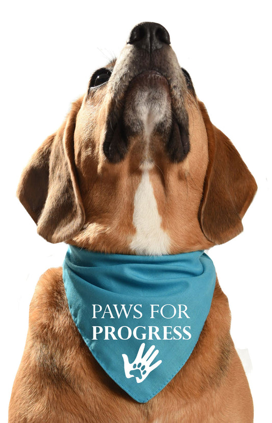 paws for progress fundraising dog bandana