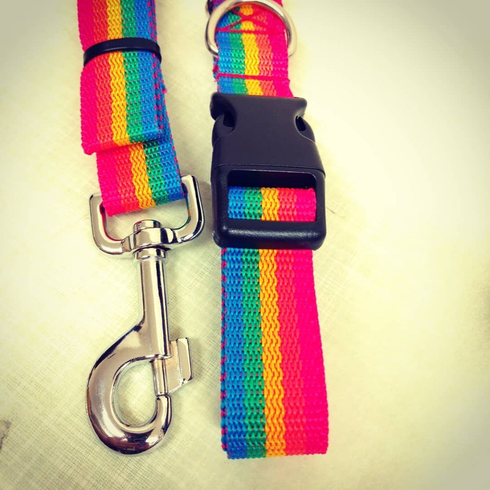rainbow love pride collar and lead set dog leash for dogs webbing strap handmade durable 