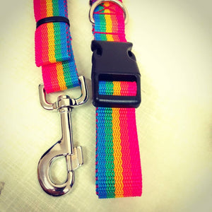 rainbow love pride collar and lead set dog leash for dogs webbing strap handmade durable 